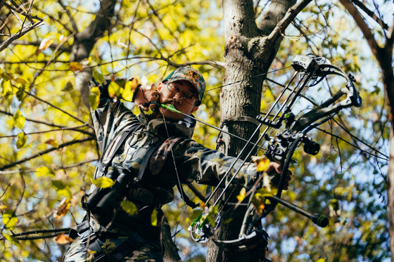 A young man hunting from a tree stand draws his bow and takes aim at his target on the ground below. 