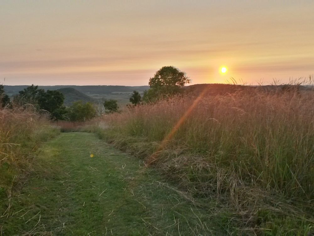 sunrise over lodi marsh wildlife area