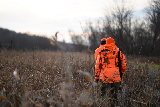 man and woman wearing blaze orange walking through woods