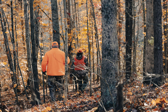 two people wearing blaze orange walking in the woods