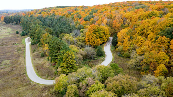 aerial image of winding road through vibrant fall colors