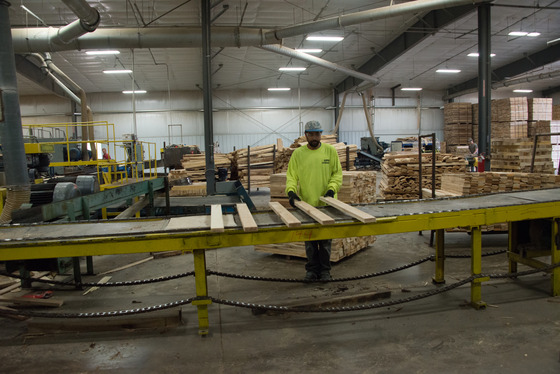 man inspecting boards at a lumber mill