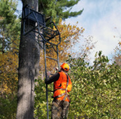 Photo Of Hunter Climbing Into Tree-Mounted Deer Stand