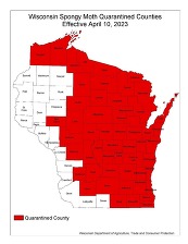 This map shows which Wisconsin counties (in red) fall under the spongy moth quarantine. 