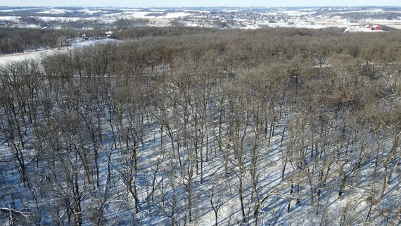 aerial image of snow covered trees