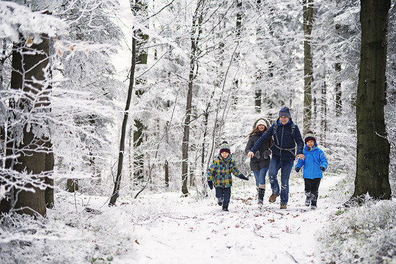family frolicking in a snowy forest