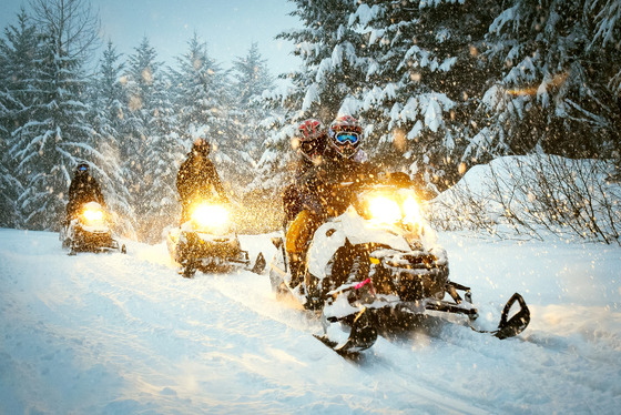 A group of riders snowmobile through the falling snow. 