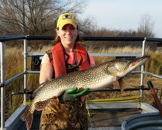 A woman in a life jacket and yellow hat holds up a northern pike. 