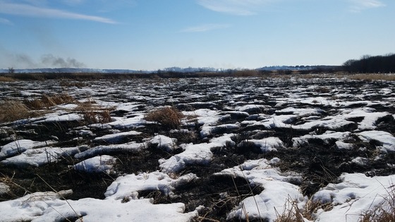 A landscape with snow burning with a prescribed burn in the winter