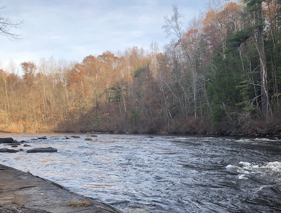 An inland river winds through a winter forest. 