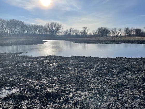 A small pond surrounded by mud at an agricultural wetland mitigation site. 