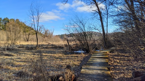 Winter Trail at Honey Creek