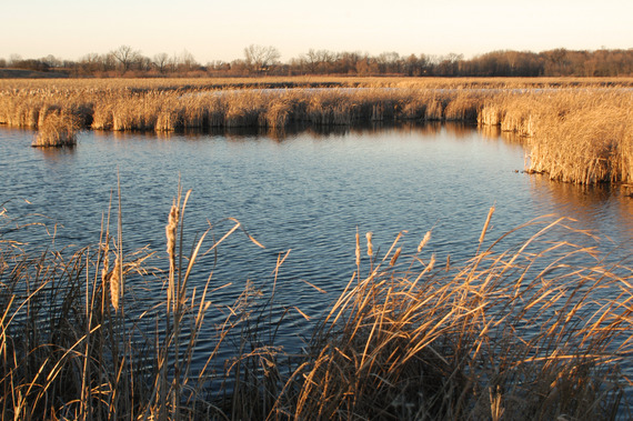 Photo of marshes and water