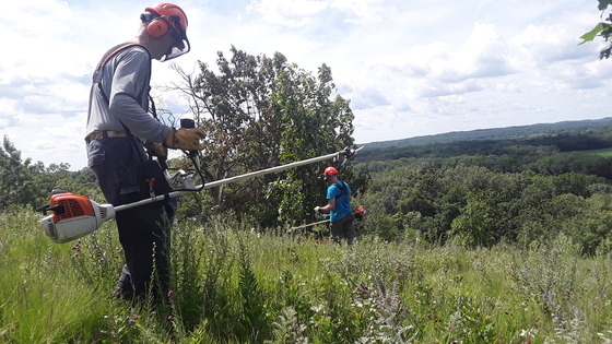 two men operate weed whackers while volunteering to cut brush on a bluffside