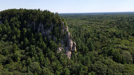 A drone photo of the bluff at Roche-A-Cri State Park on a sunny day. The bluff is covered in pine trees with blue sky above.