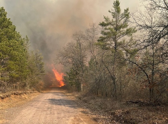 a wildfire rages in the background of a woody area next to a gravel road