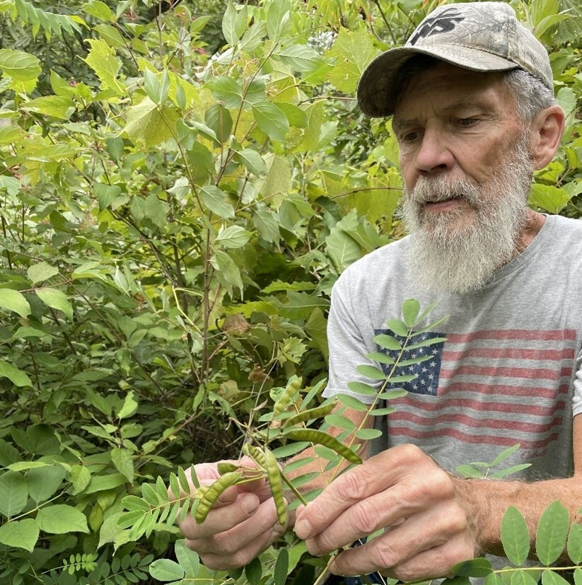 A bearded man wearing a gray t-shirt and cam-patterned hat carefully examines the seed pods of a plant while standing in a heavily wooded area. 