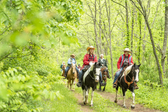People riding horses in a green forest