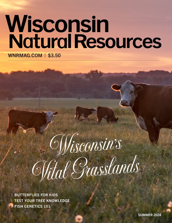 cover of wisconsin natural resources magazine with image of cows grazing in a pasture with test that reads "Wisconsin's vital grasslands"