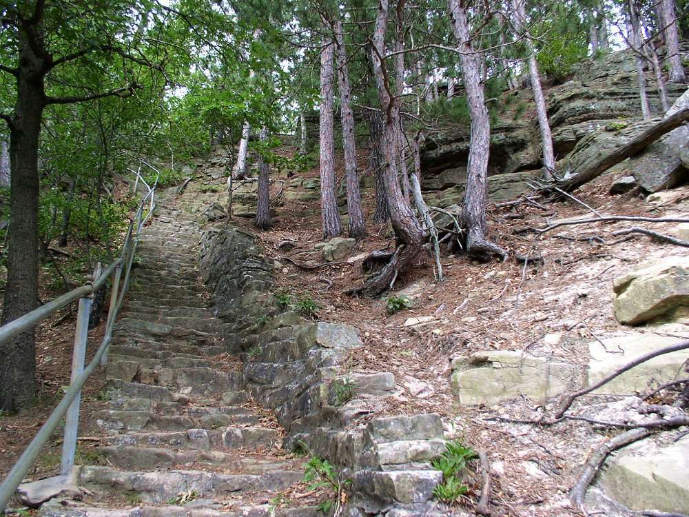 Photo of steps going up to a bluff