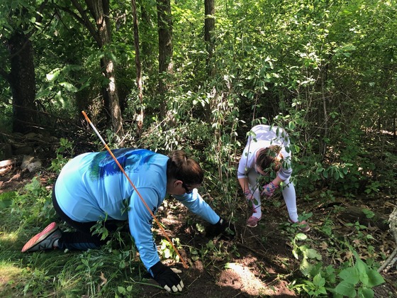 Two volunteers help remove invasive species at a state park workday event.