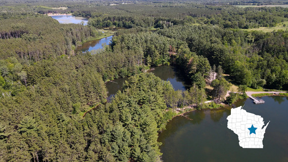 A forest with water from above.