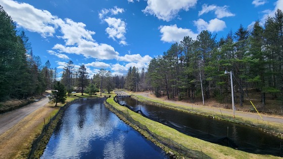 Two hatchery ponds run parallel to a small road and a sunny day. 