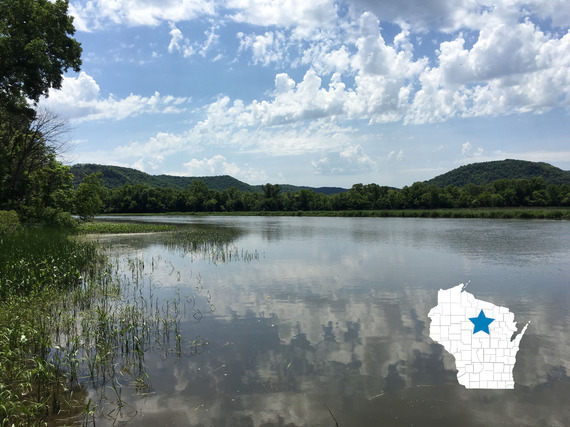 A lake with tall vegetation reflects puffy, white clouds in the sky. Rolling hills covered in green trees can be seen in the distance.