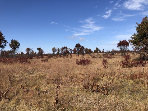 Sandhill Wildlife Area in the fall with red, orange and green vegetation, brown grasses and blue skies