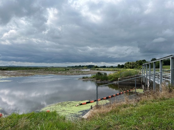 A partially submerged wetland is seen from behind the rails of a bridge. 