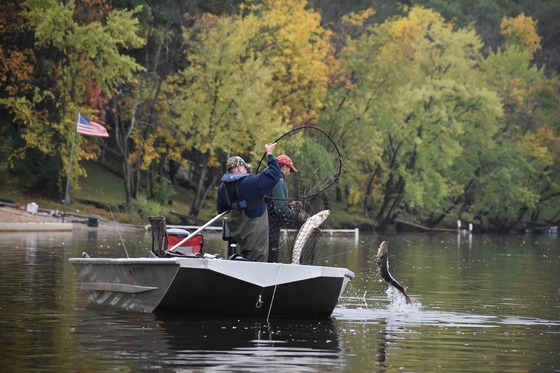 two people wearing hats and waders on a boat pulling in sturgeon on a line