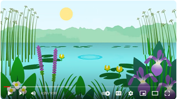 A computer screenshot of a YouTube video, showing colorful foliage surrounding a small pond.