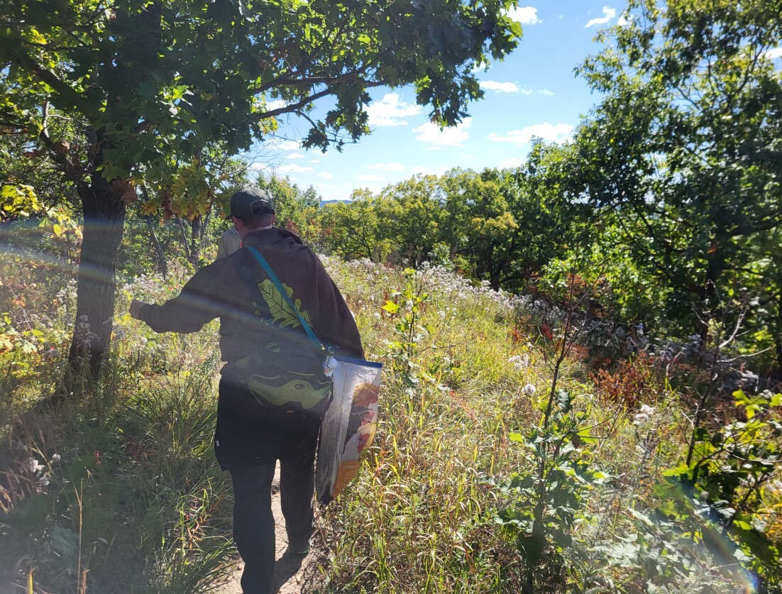 A volunteer in sweatshirt carries supplies while walking along a trail through a prairie at a state natural area. 