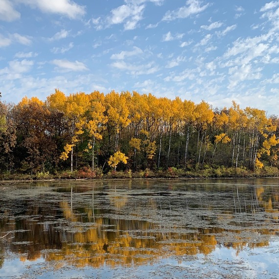 A lake is shown in the forefront, with a forest featuring beautiful fall foliage behind.