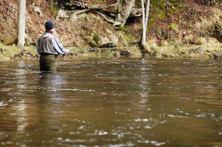 A man wearing waders, a fly fishing vest and knit cap fly fishing while standing waist-deep in a stream. 