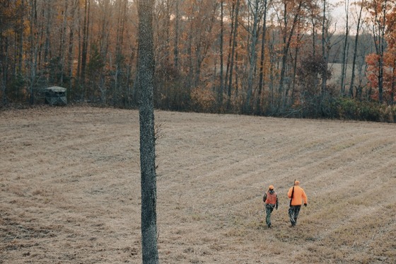 An aerial view of two individuals in blaze orange walking through a large brown field in fall.