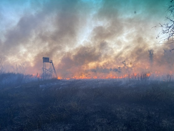 A tall wooden deer blind stands in a field as the grass around it smolders due to a wildfire. 