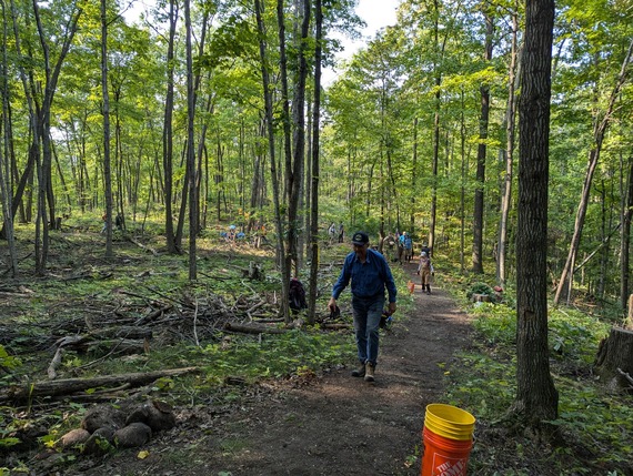 People building a trail through the forest