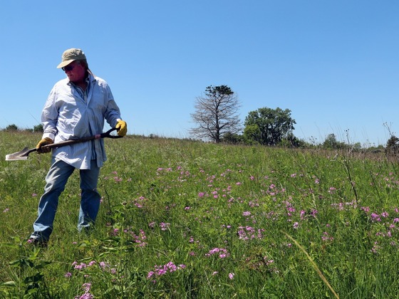 A man wearing jeans, a work shirt, heavy-duty work gloves and a hat holds a shovel while working in a prairie beneath a beautiful blue sky. 