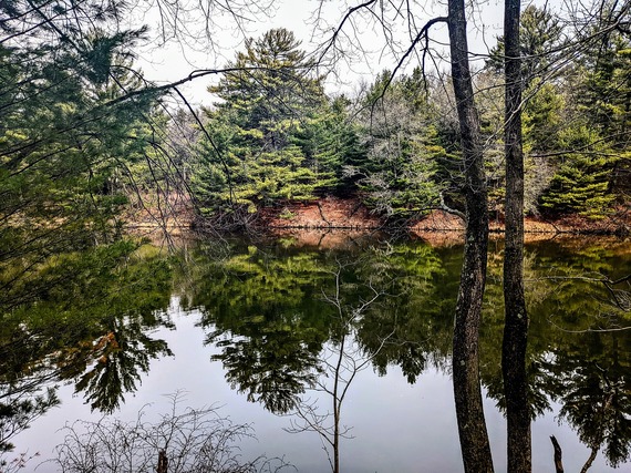 Picture of a lake in November