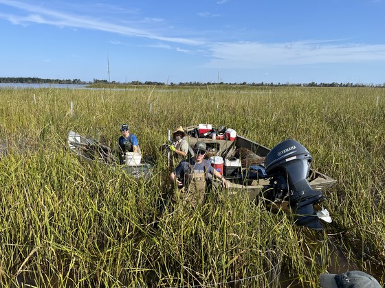 Three people stand next to two boats to pull up fencing from an established wild rice bed in Allouez Bay. Fencing protected plants from being eaten