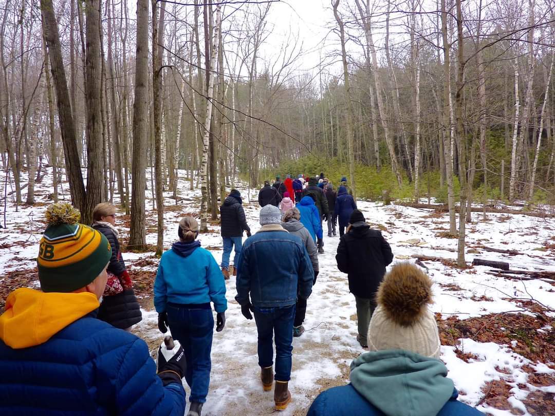 People walking in a snowy forest