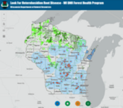 A map of Heterobasidion root disease occurrences in Wisconsin