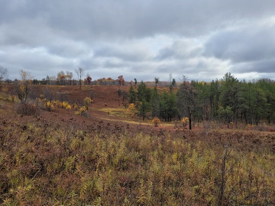 Spread Eagle Barrens State Natural Area in the fall with colorful trees