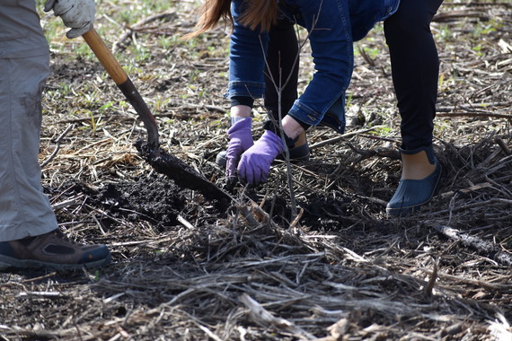 Two people planting in the spring.