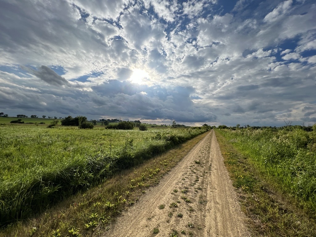 Gravel Trail in the summer