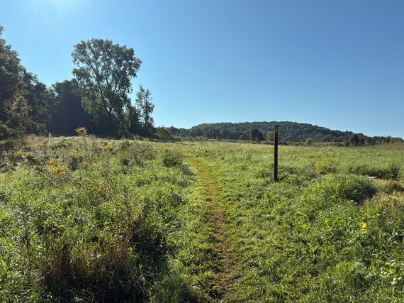Prairie with path in summer