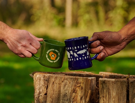 Two hands clink mugs over a stump in an outdoor setting. 