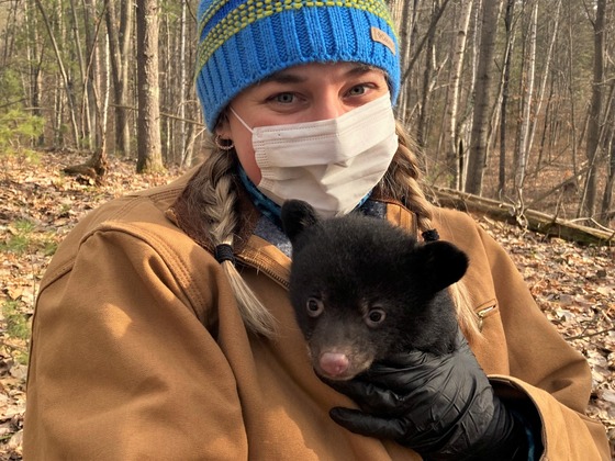 A person wearing surgical mask, black gloves and winter clothing holds a black bear cub in a forest.