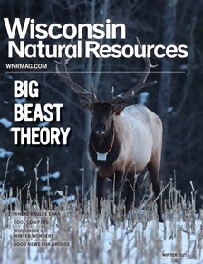 magazine cover with bull elk